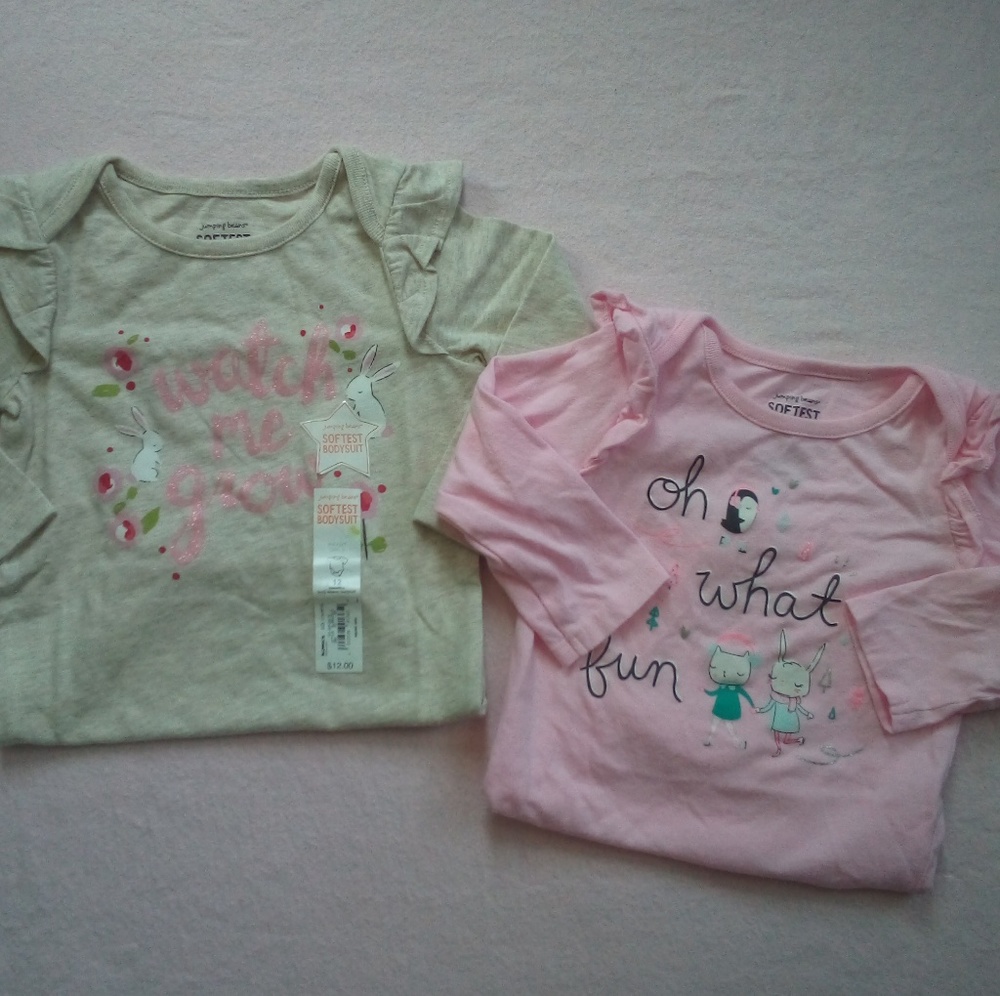 🌼Baby Bundle! 2 Longsleeve Onesies 12M